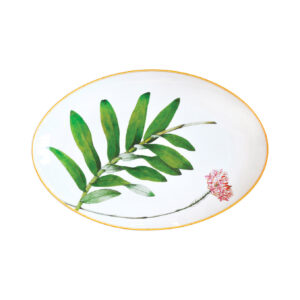 Jardin Indien oval platter  Bernardaud