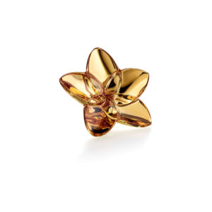 Gold Bloom  Baccarat