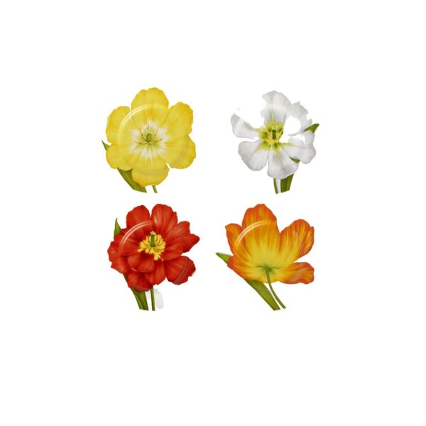 Set of 4 assorted dinner plates Freedom Taitù