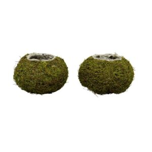 Willow Basket Green Moss 22 x 22 x 11 cm Exner